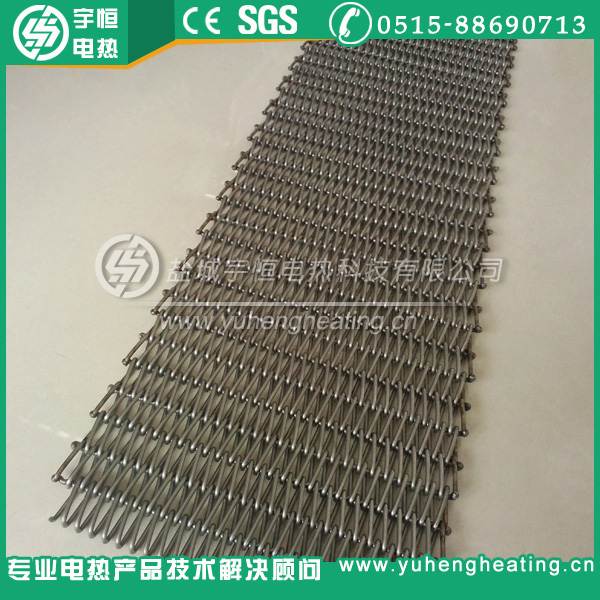 熱處理爐進口SUS310S網帶